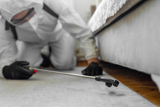 Professional Pest Control technician working in Llano, TX
