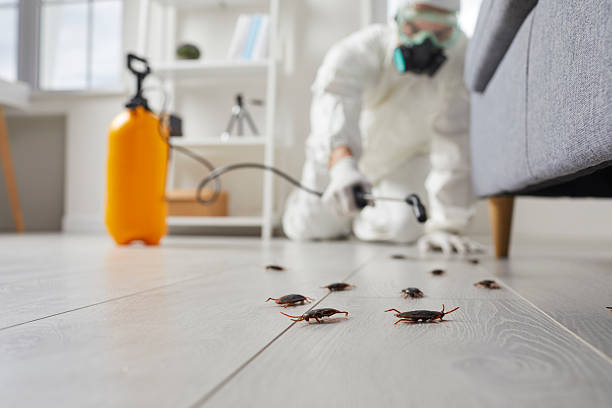 Affordable Pest Control solutions in Llano, TX